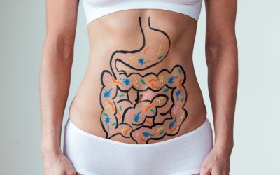 Understanding Peristalsis: The Unsung Hero of Digestive Health