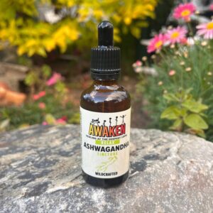 Ayurvedic medicine